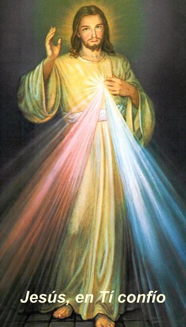 SPANISH***Divine Mercy Chaplet Prayer Card